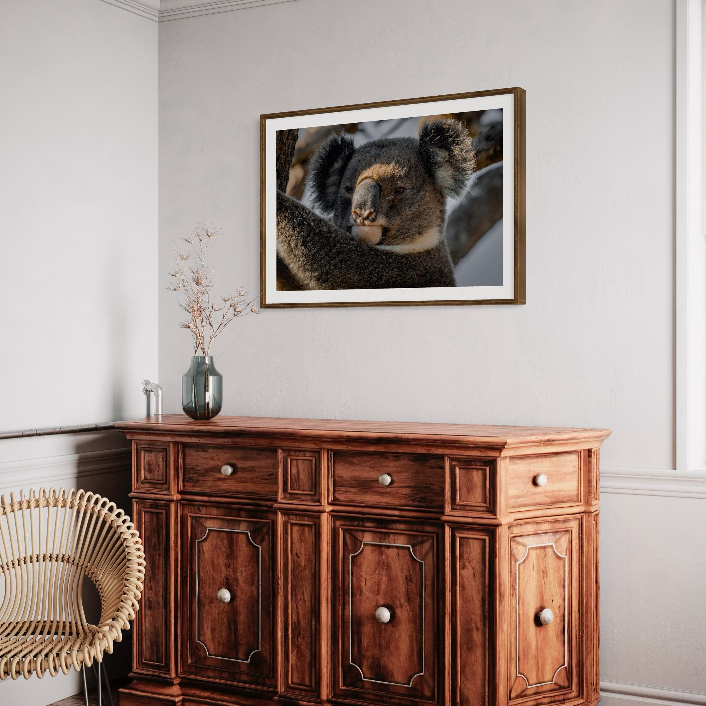 Big Boy Koala - Print