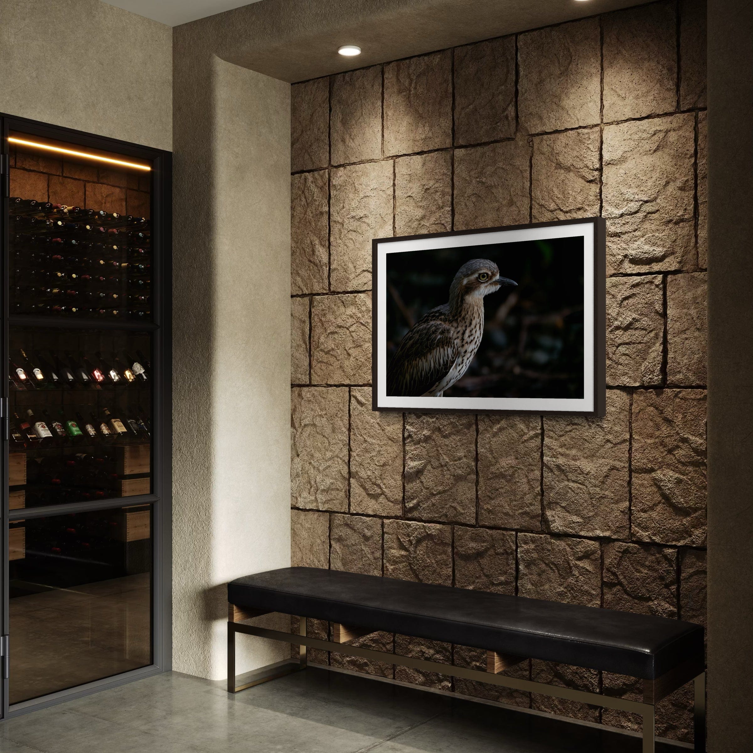 Bush Stone Curlew - Print