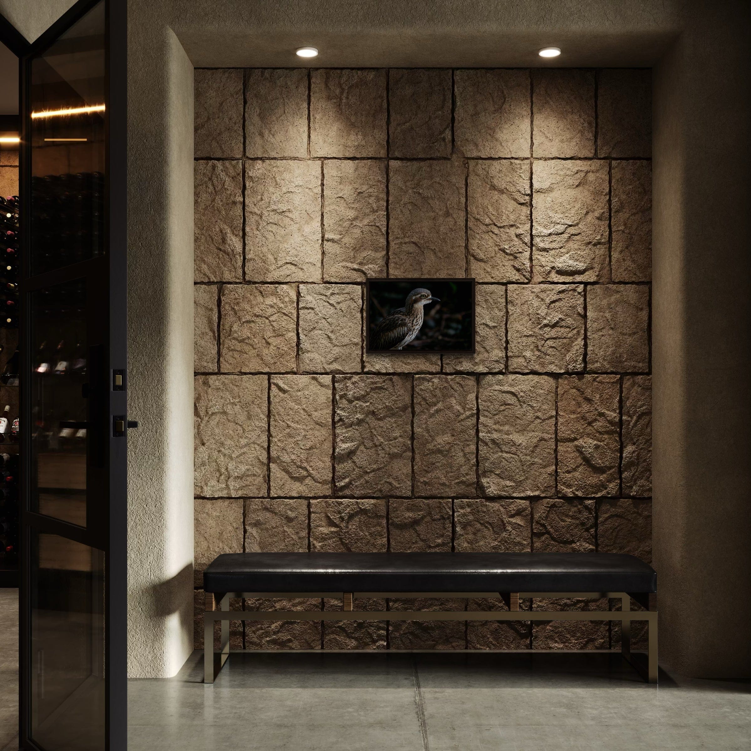 Bush Stone Curlew - Canvas