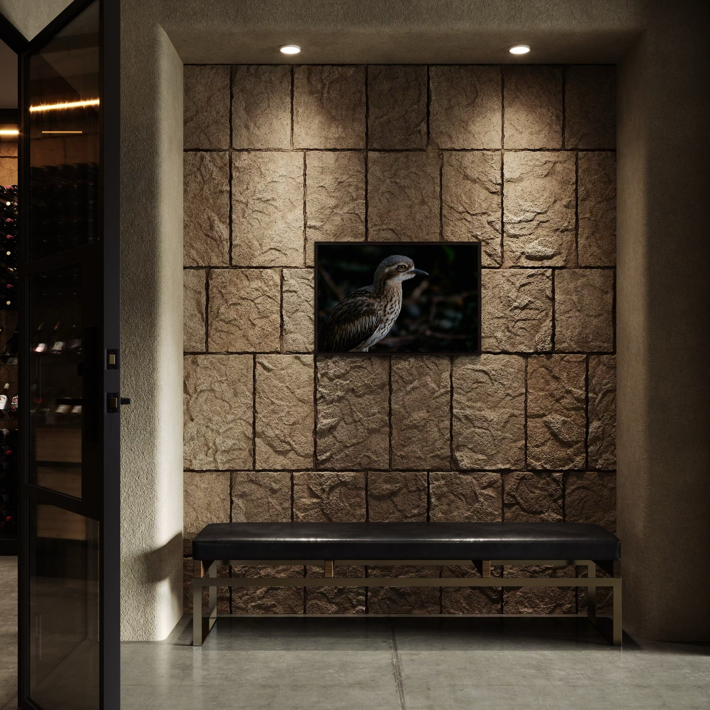 Bush Stone Curlew - Canvas