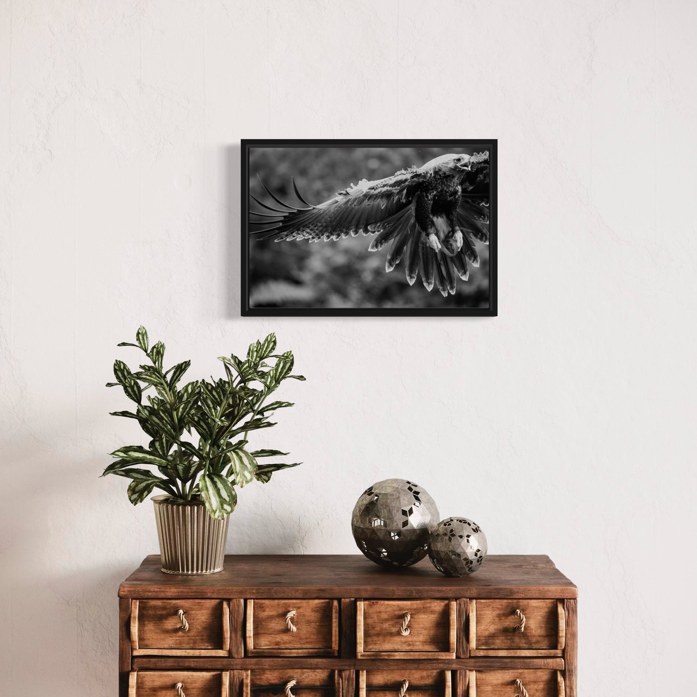 Eagle in flight - Canvas