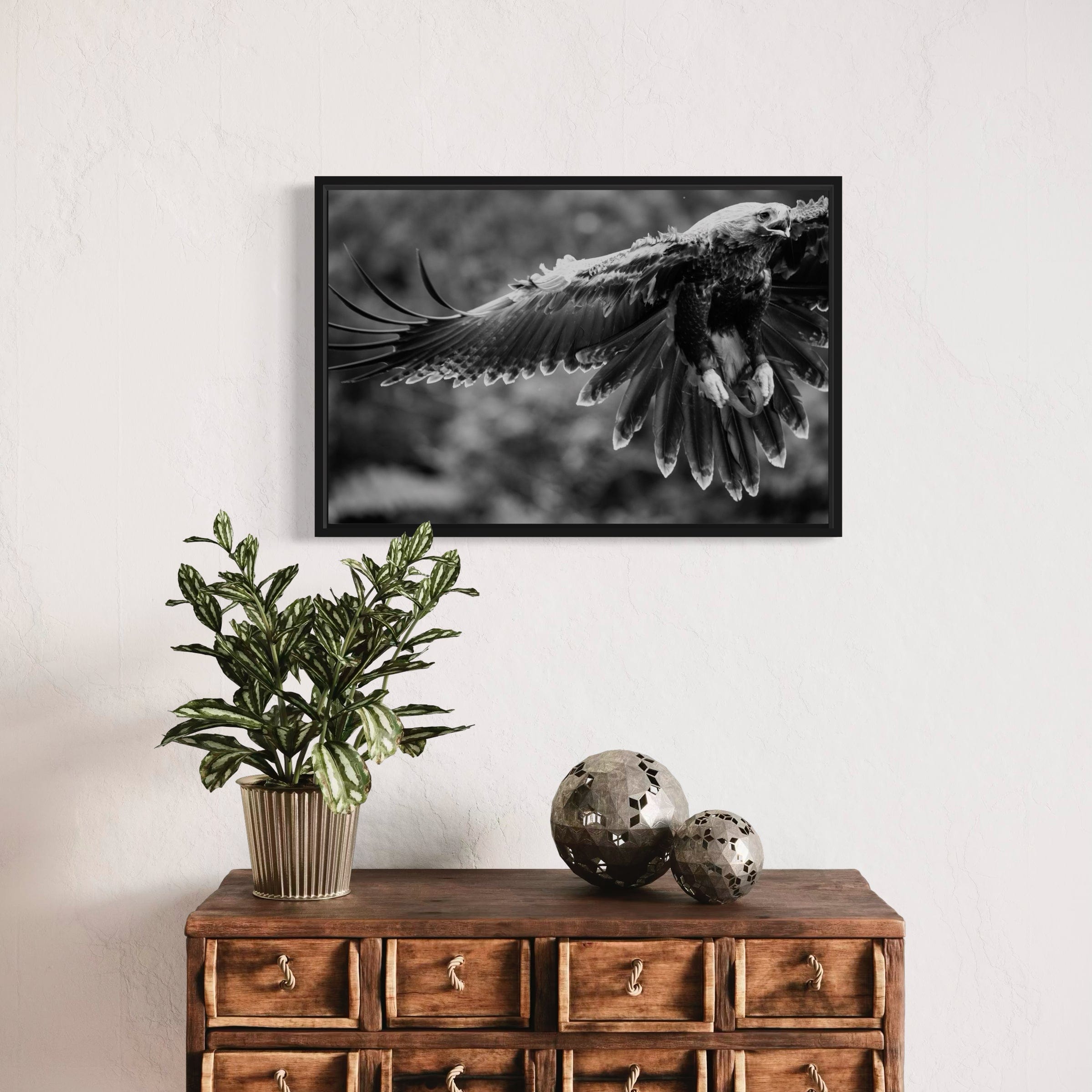 Eagle in flight - Canvas