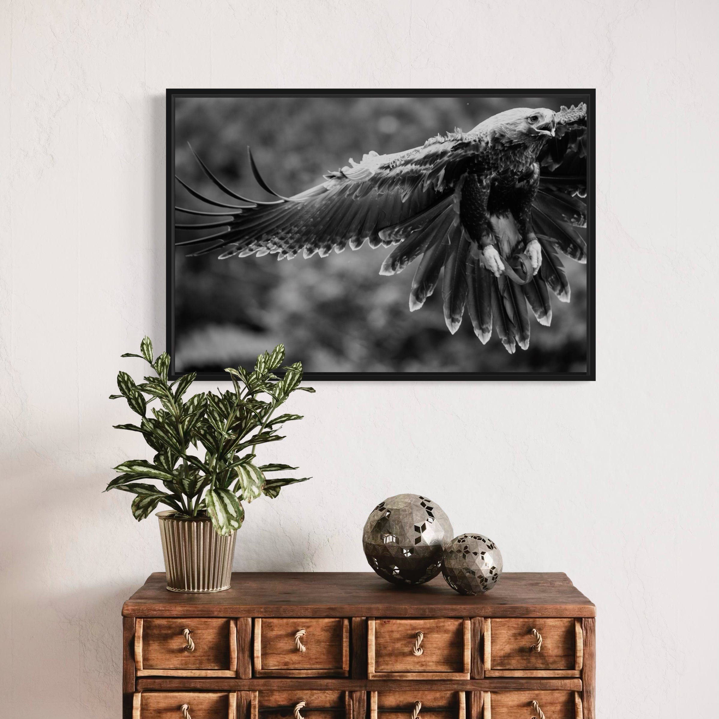 Eagle in flight - Canvas
