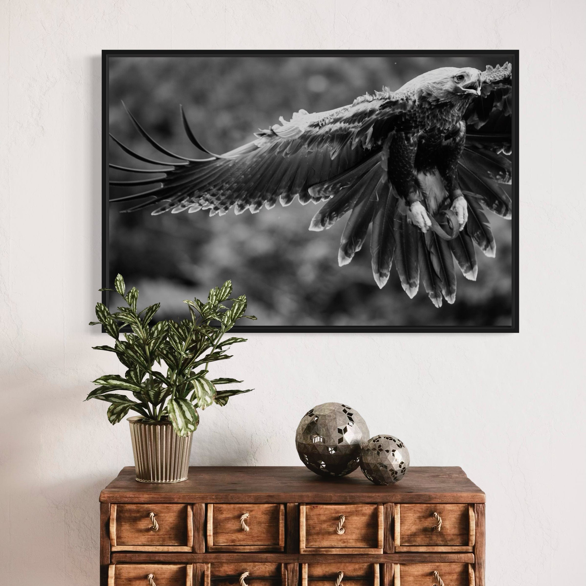 Eagle in flight - Canvas