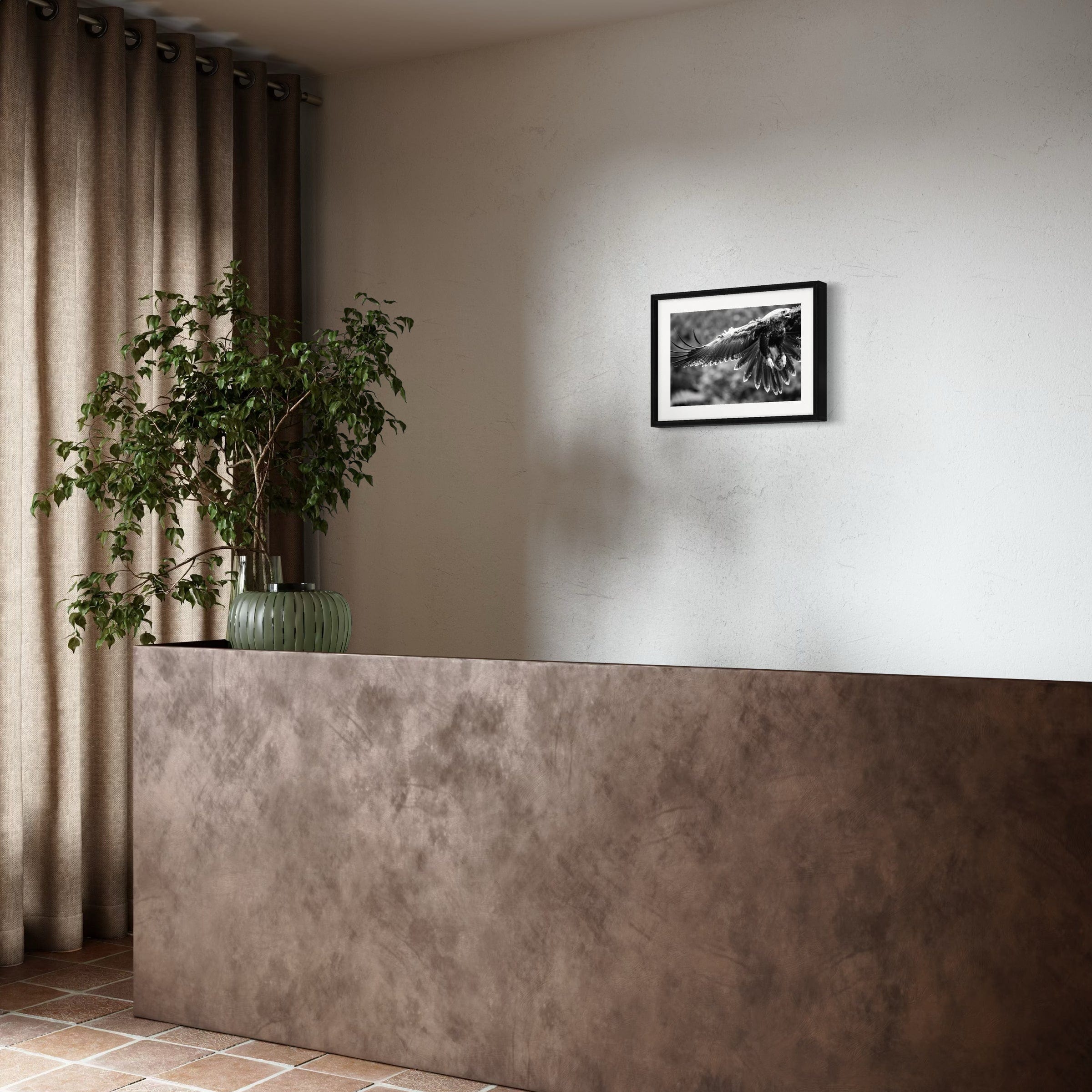 Eagle in flight - Print