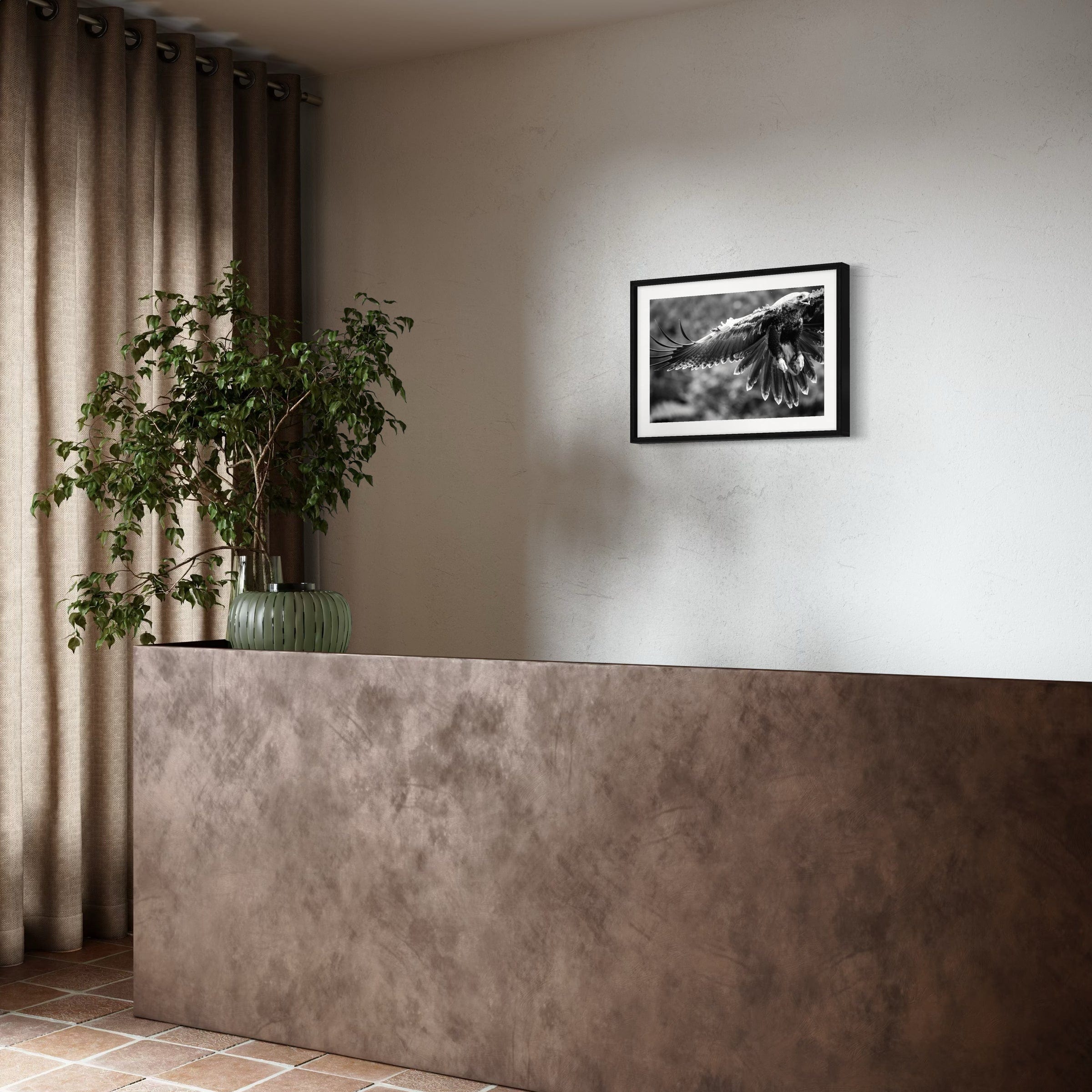 Eagle in flight - Print