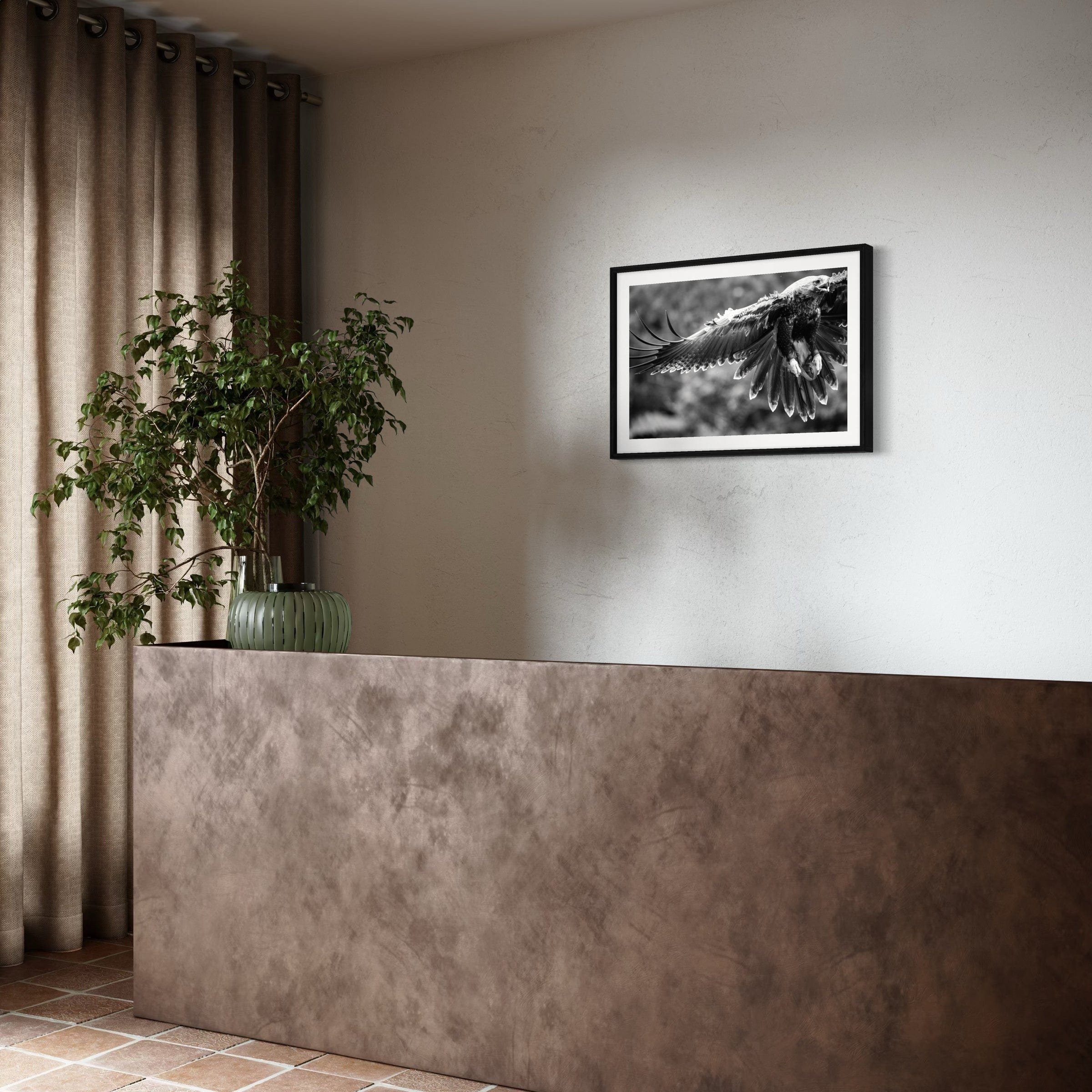 Eagle in flight - Print