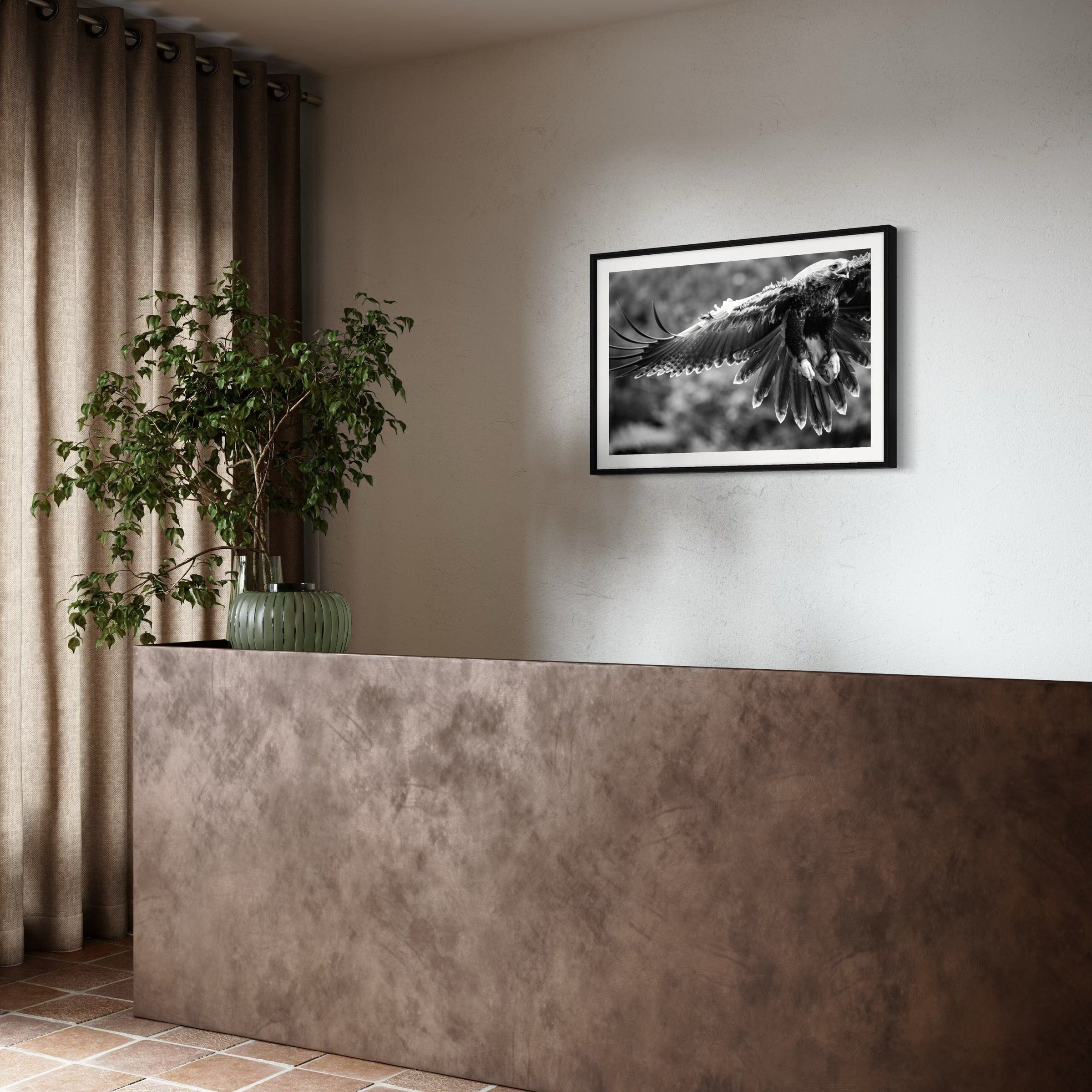 Eagle in flight - Print