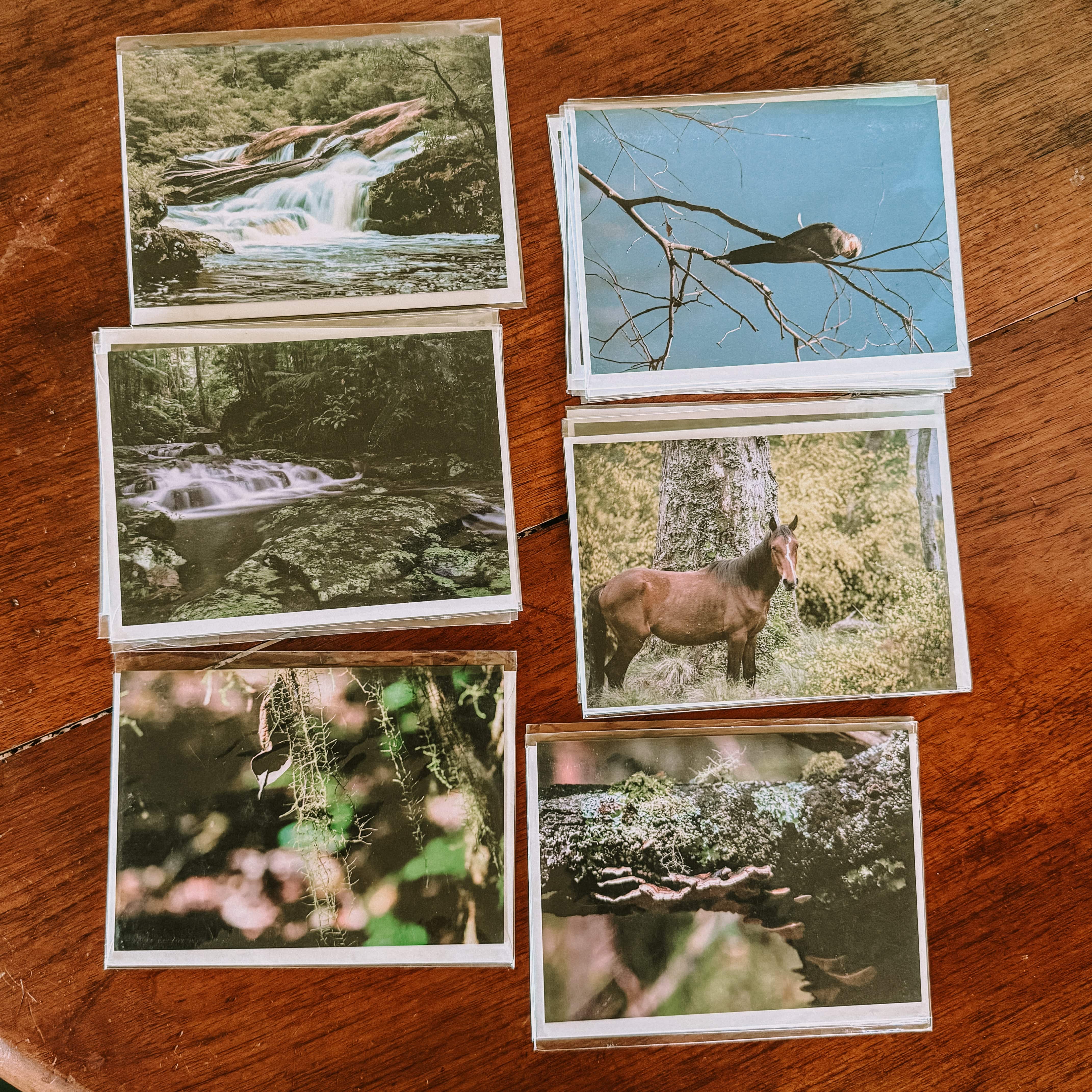 Greeting Cards - Limited Edition