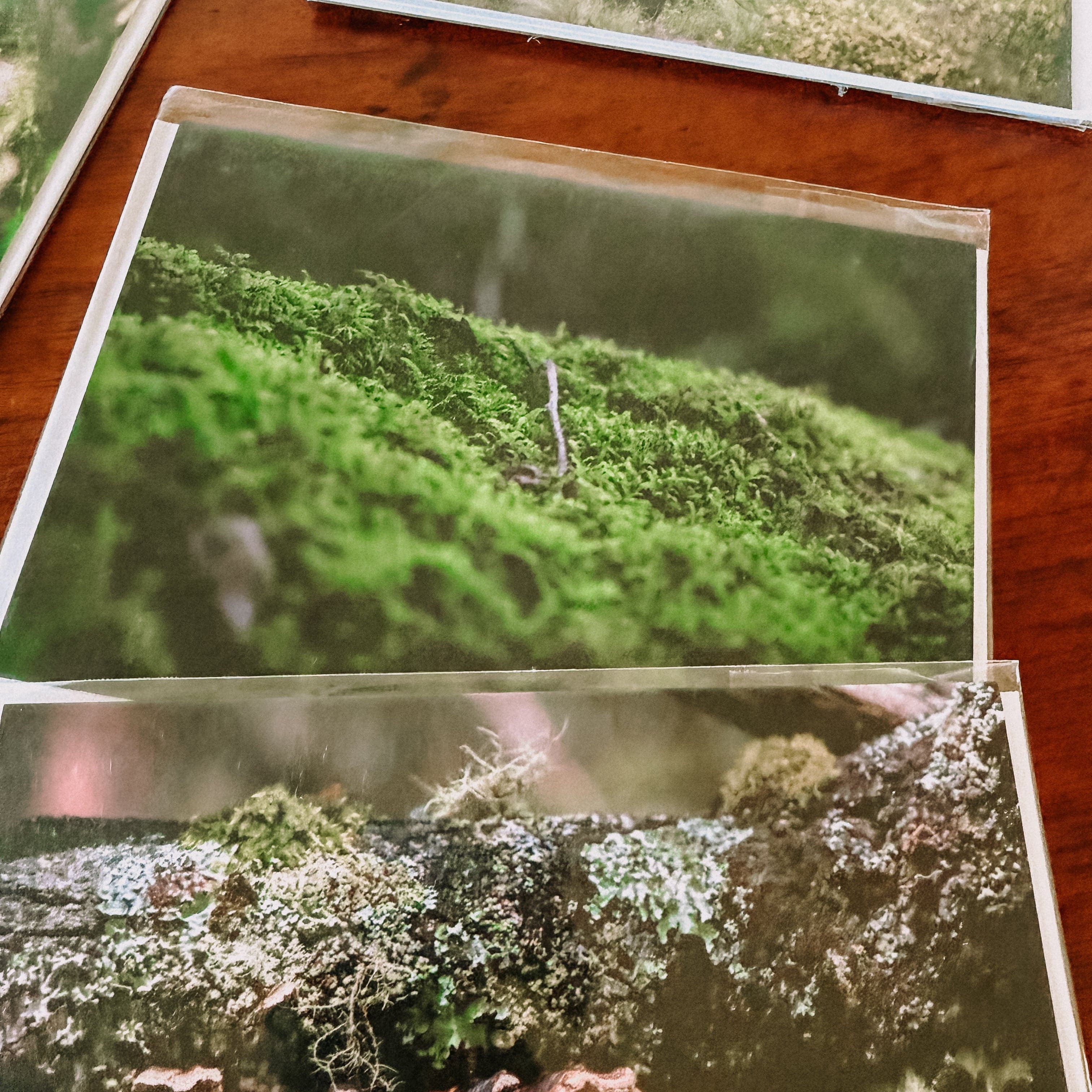 Greeting Cards - Limited Edition