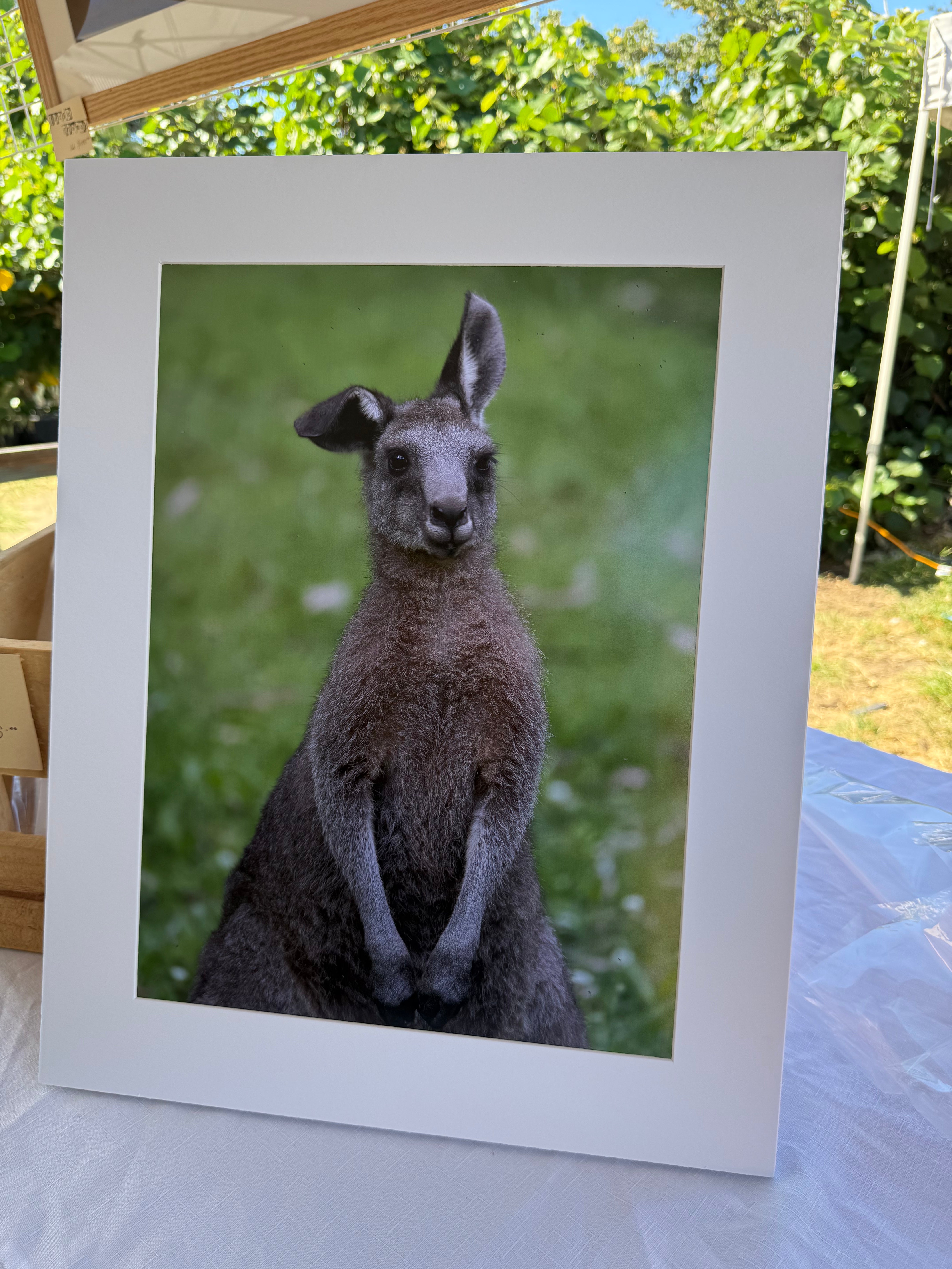 Roo Roo - Mounted