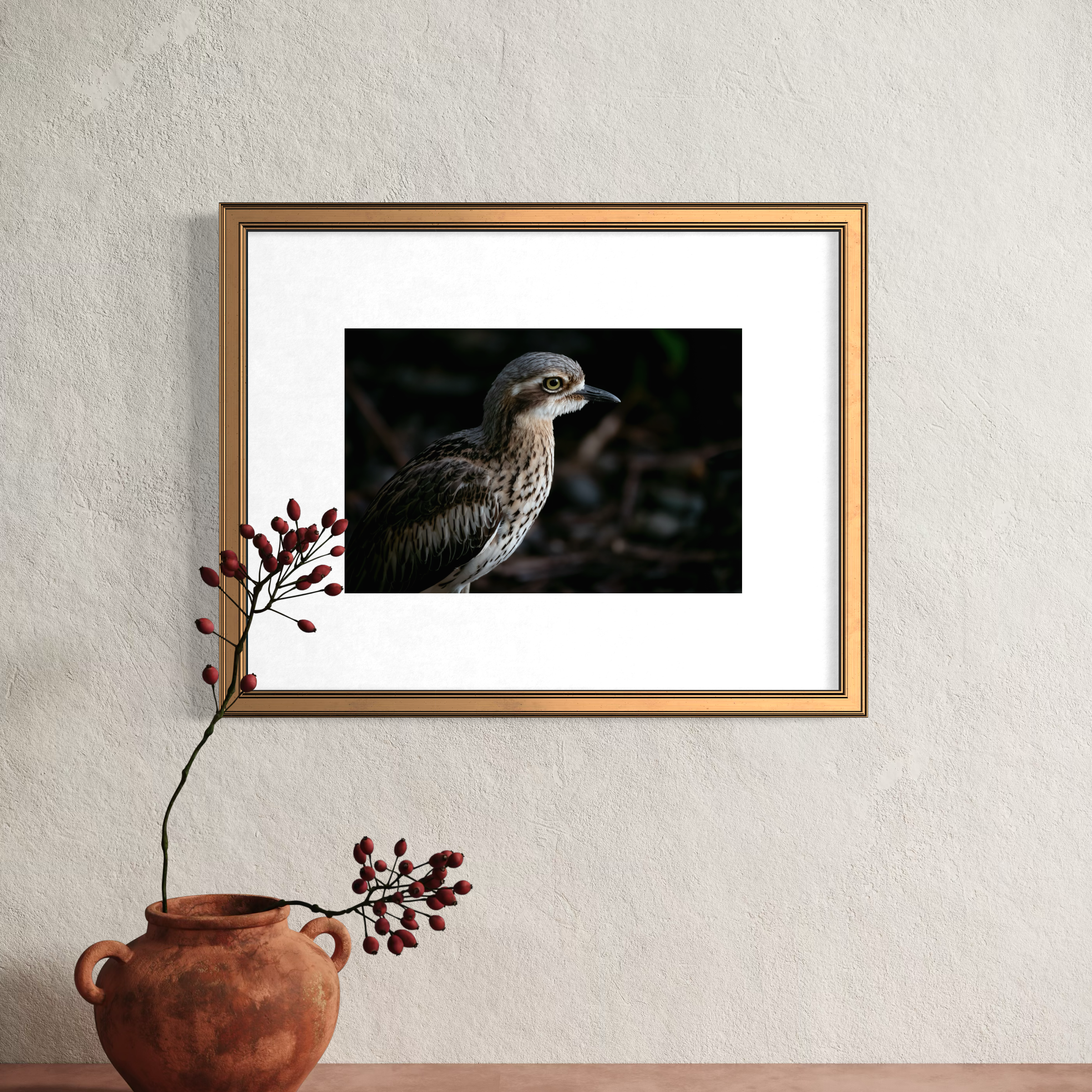 Bush Stone Curlew - Mounted