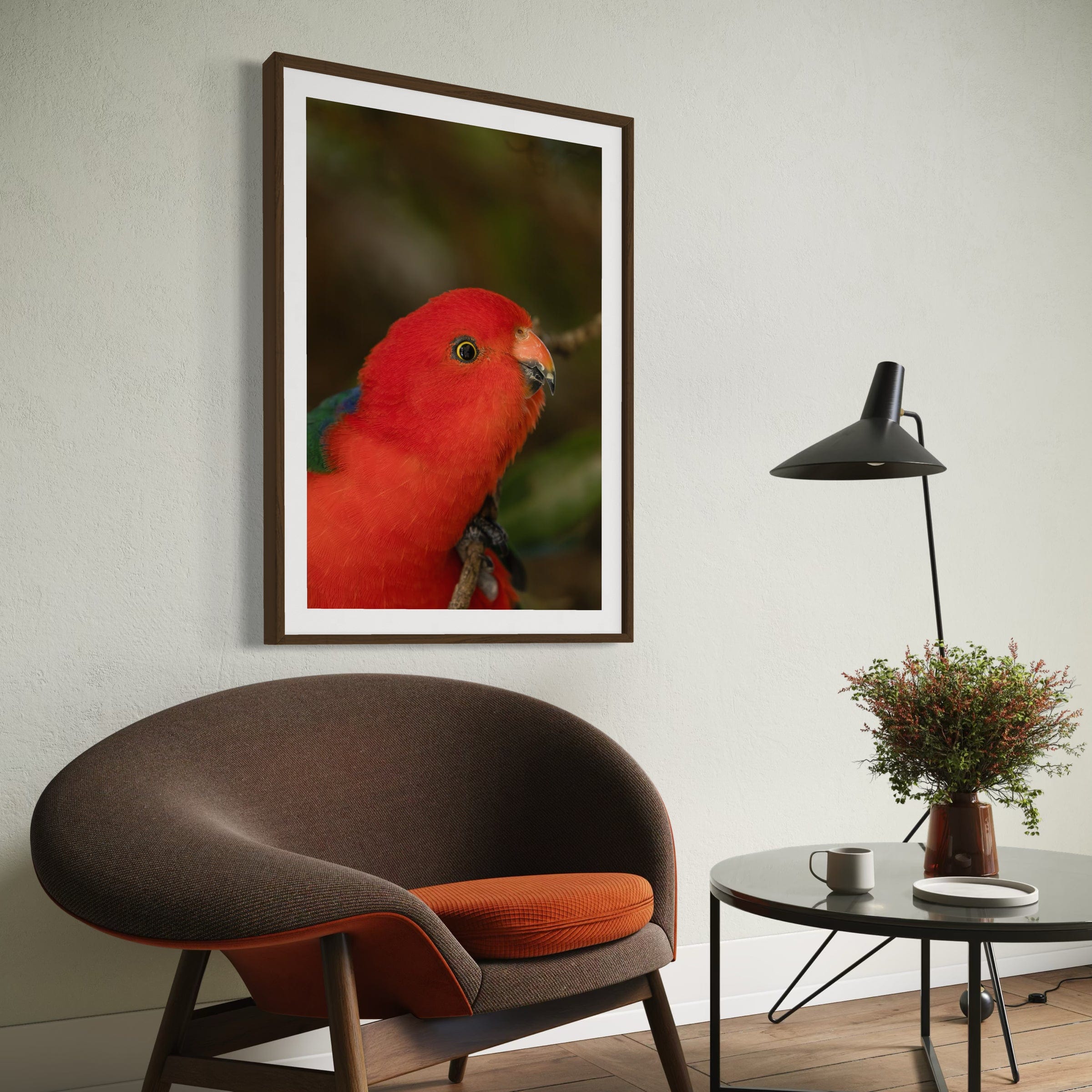 King Parrot - Print