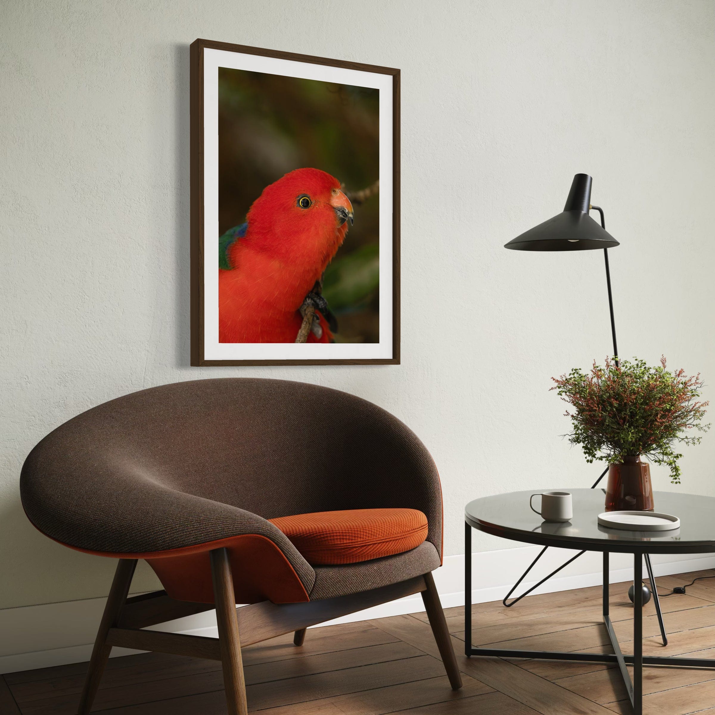 King Parrot - Print