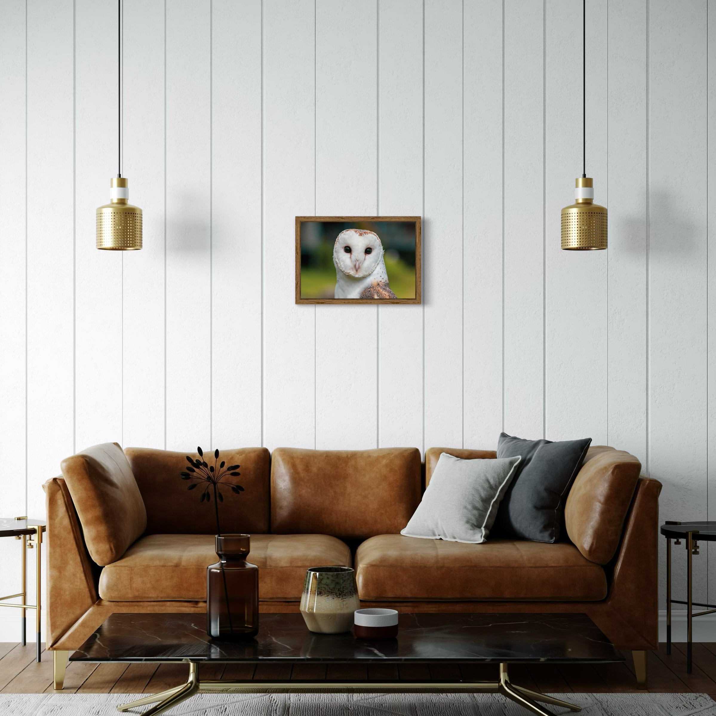 Barn Owl - Canvas