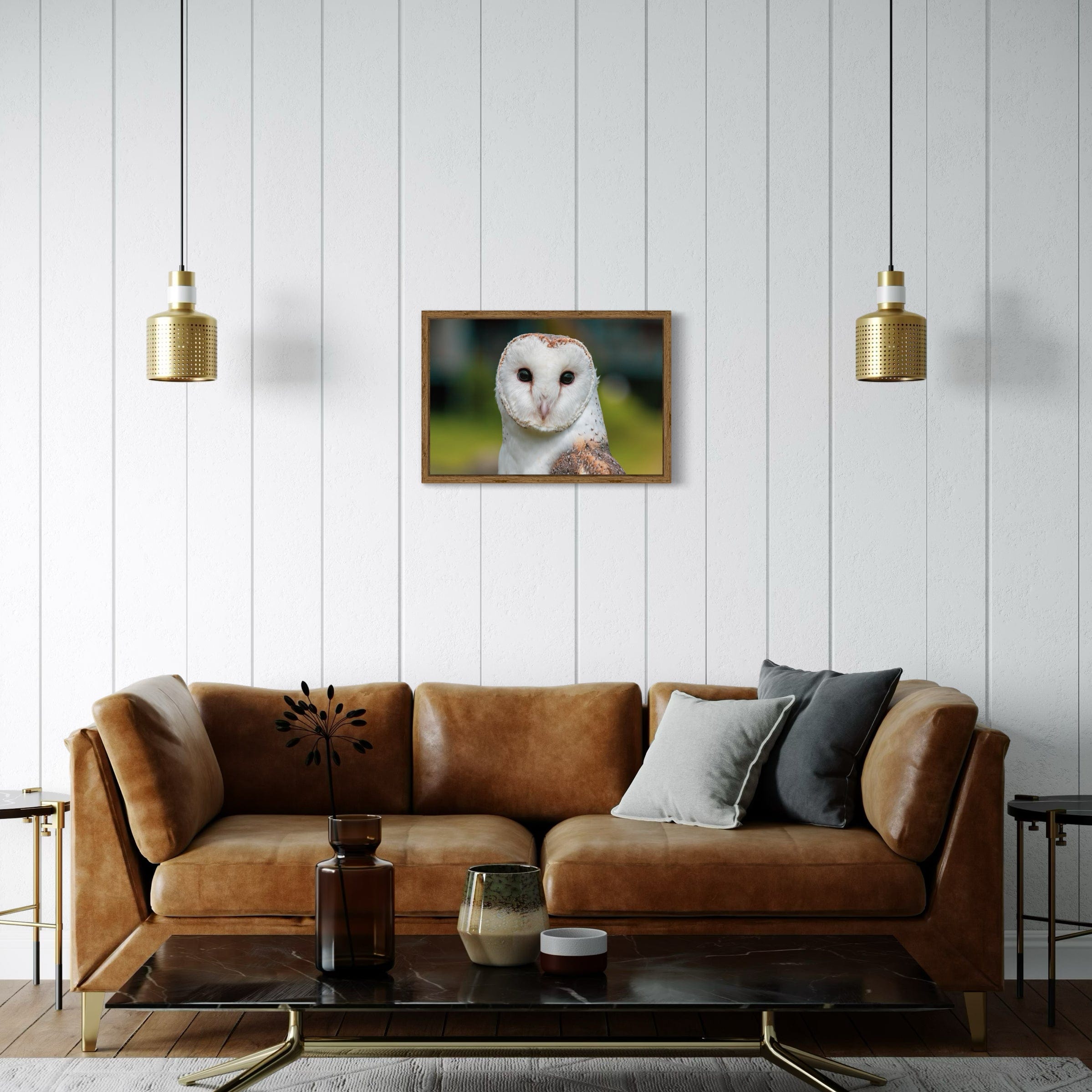 Barn Owl - Canvas