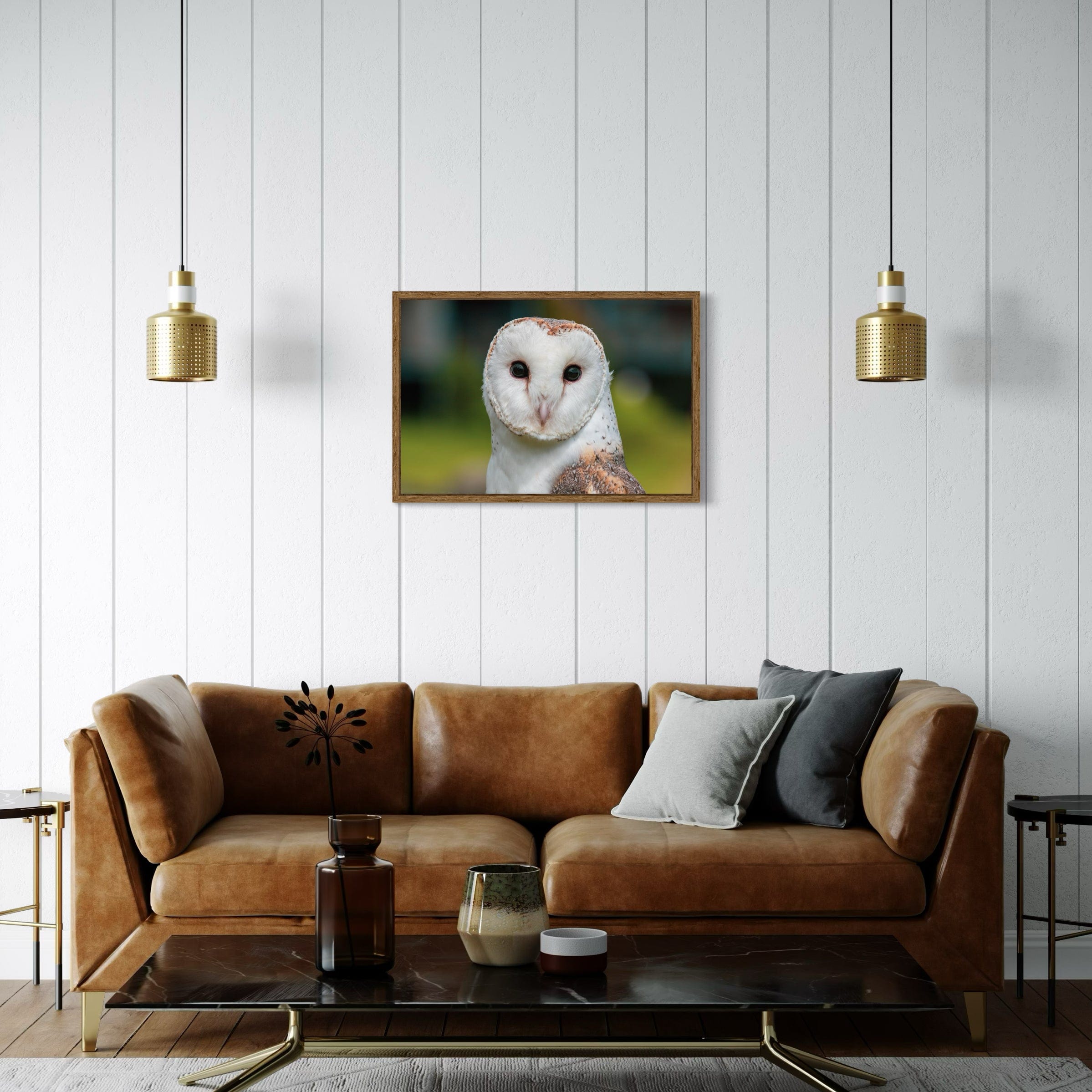 Barn Owl - Canvas