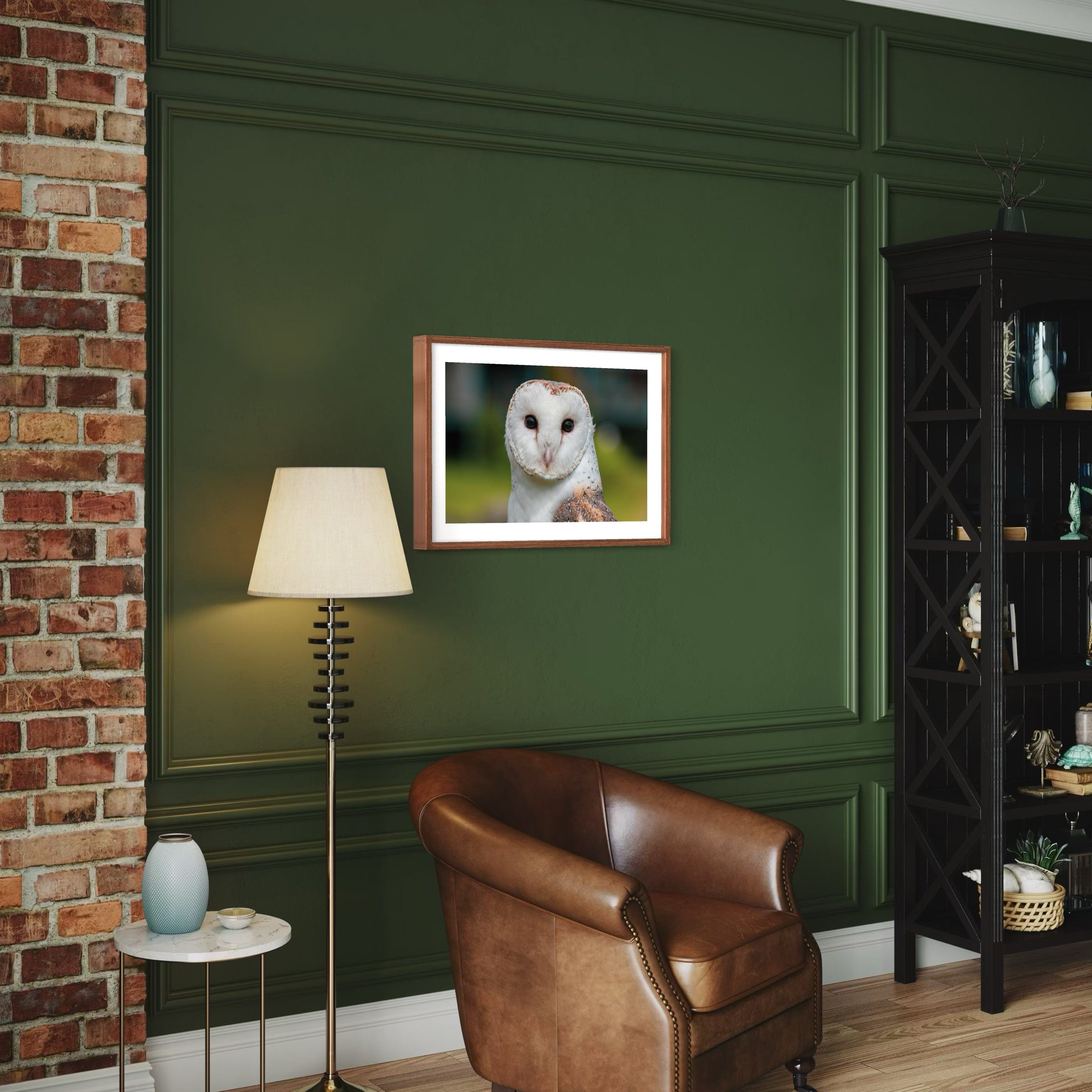 Barn Owl - Print