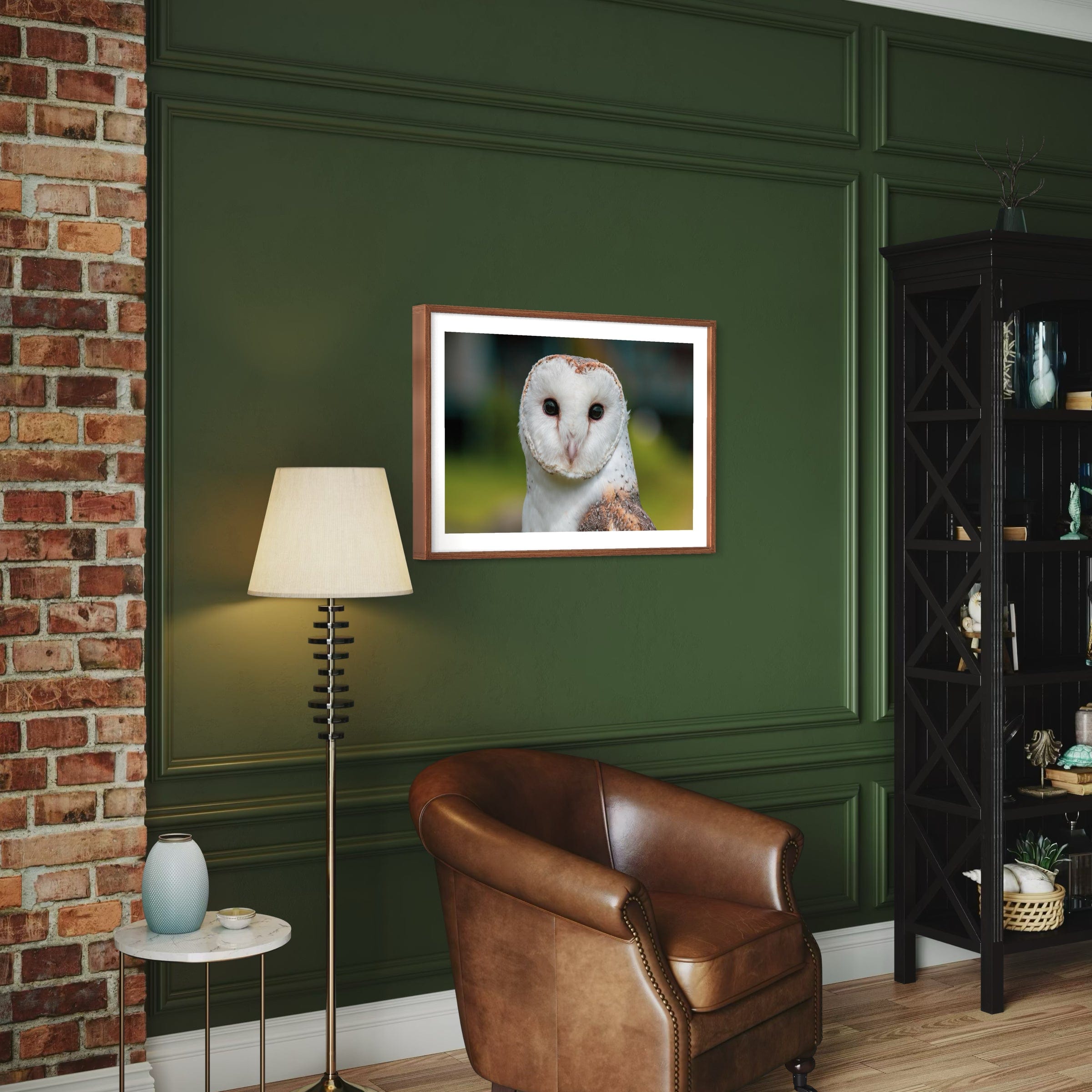 Barn Owl - Print