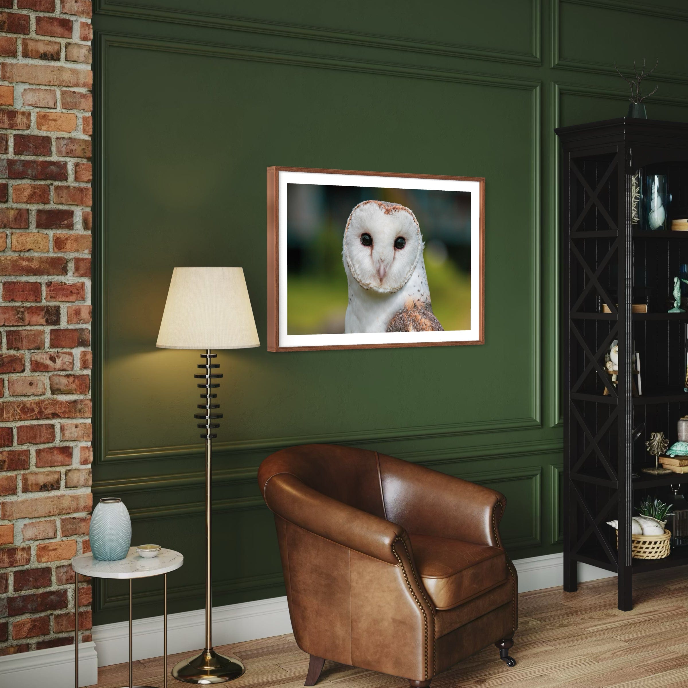 Barn Owl - Print