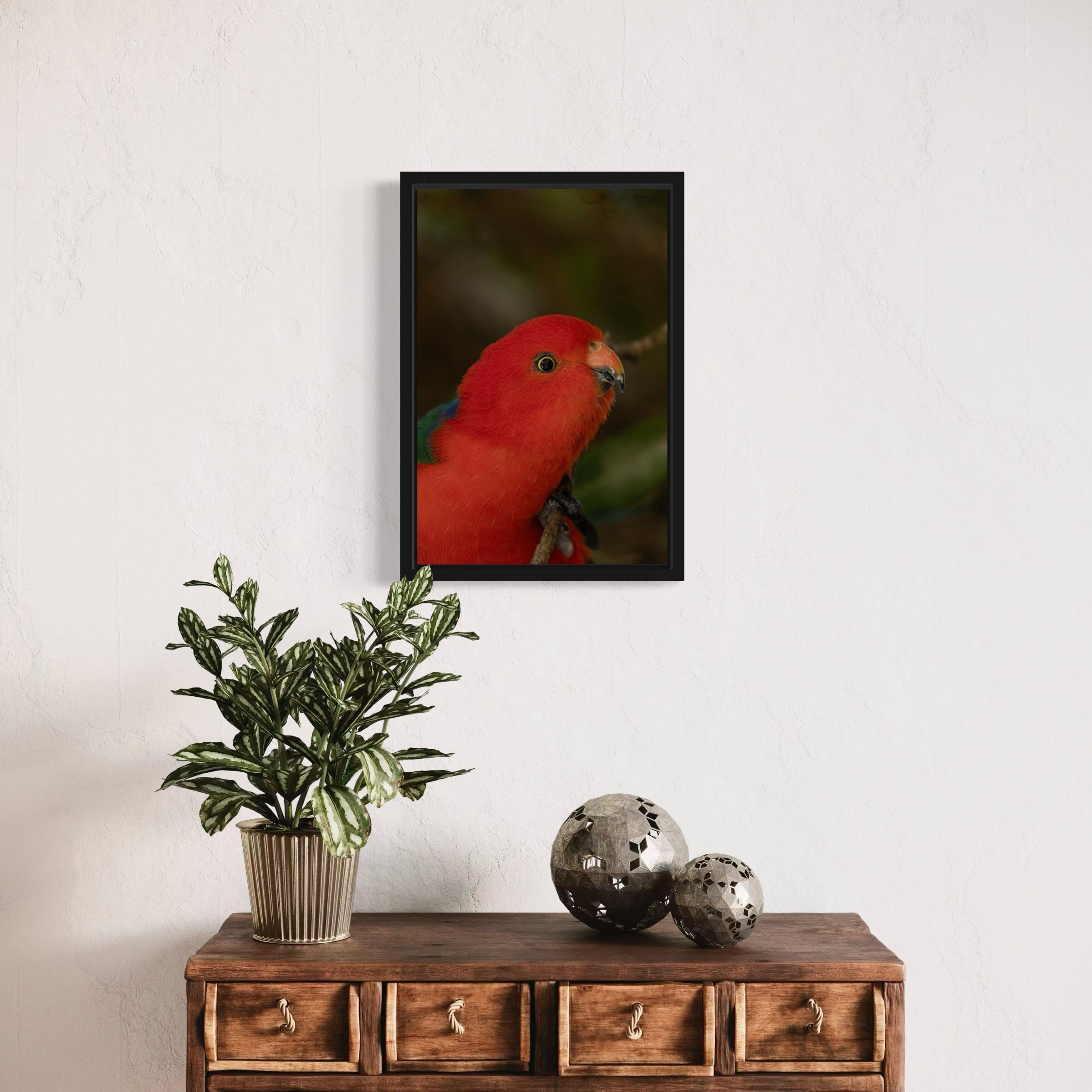 King Parrot - Canvas