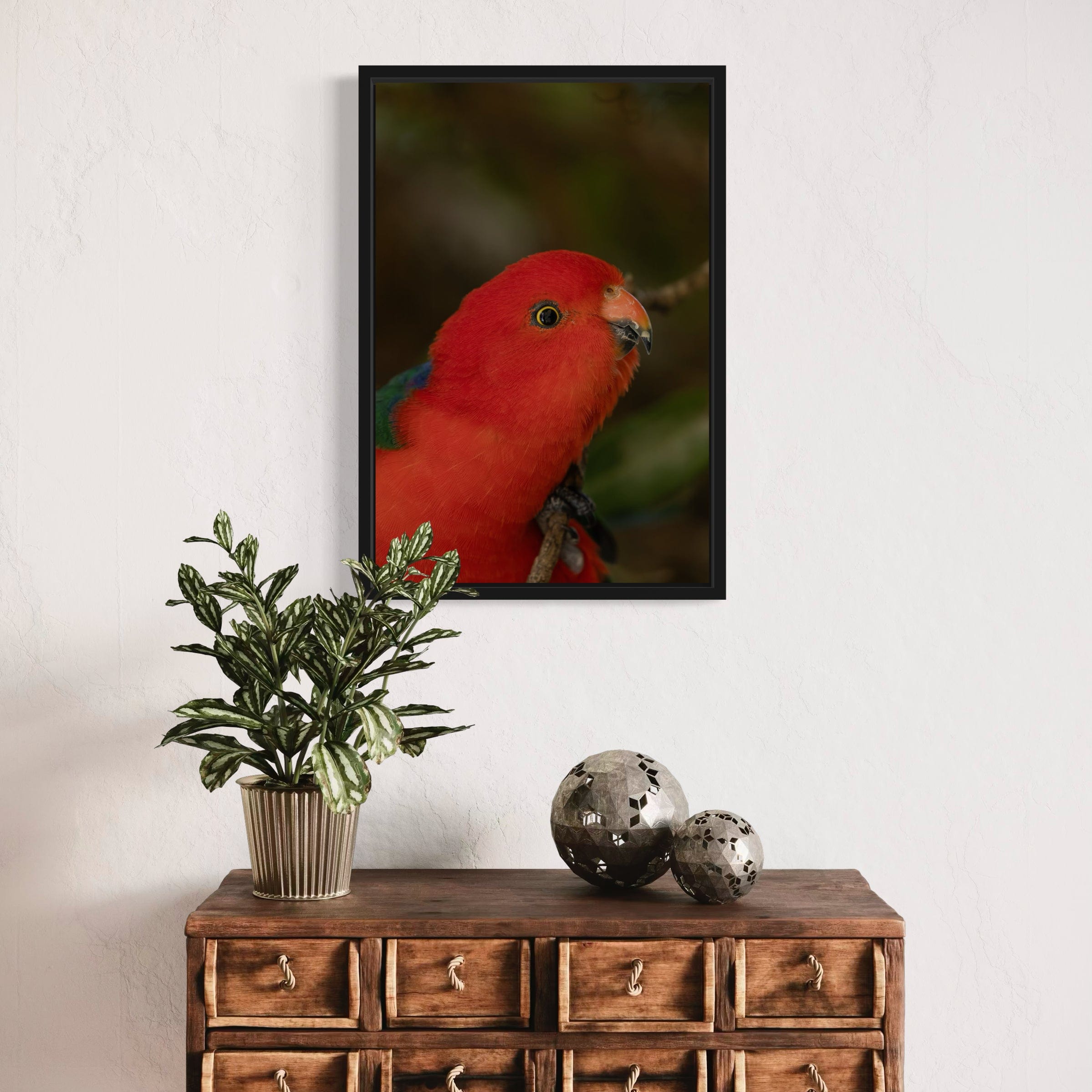 King Parrot - Canvas
