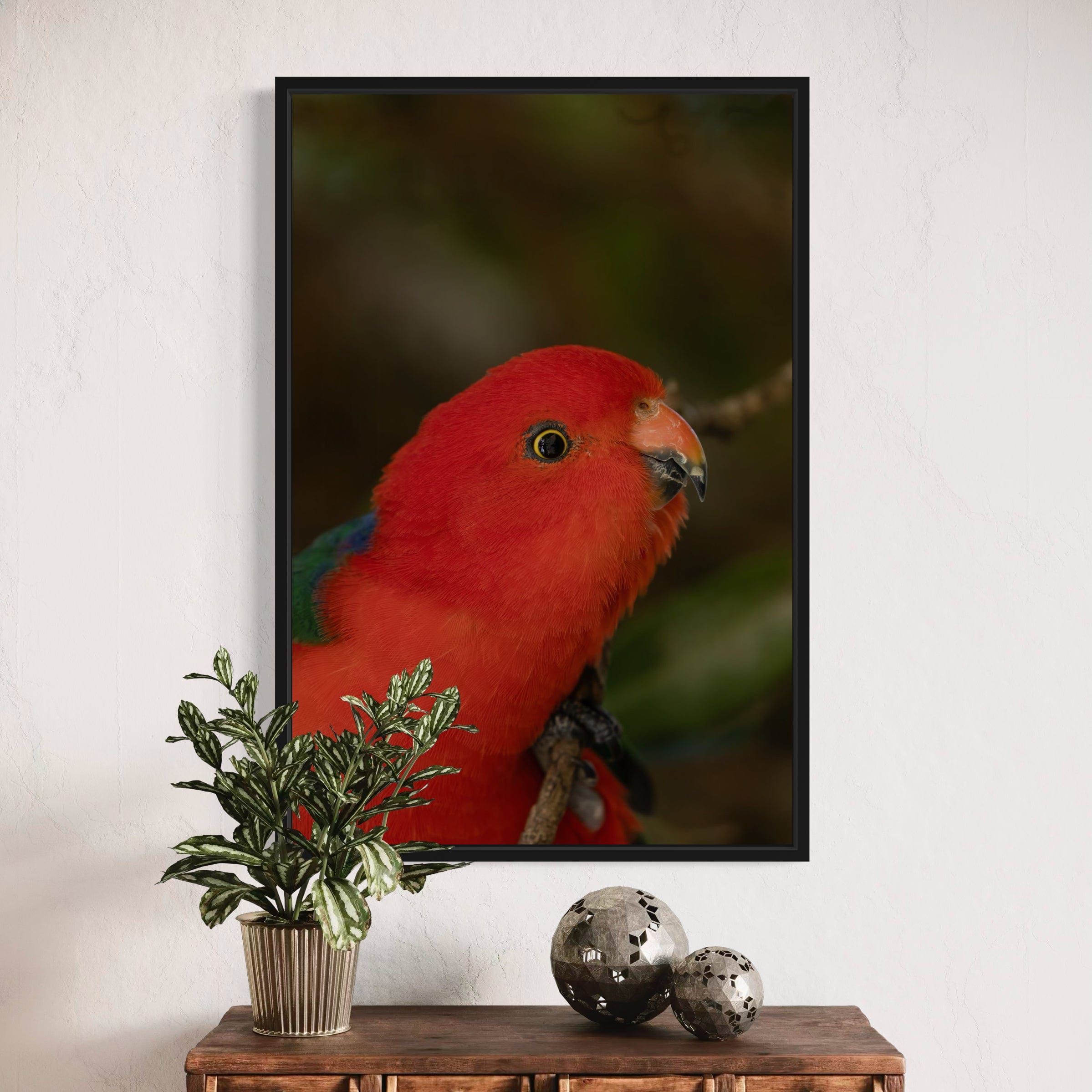 King Parrot - Canvas