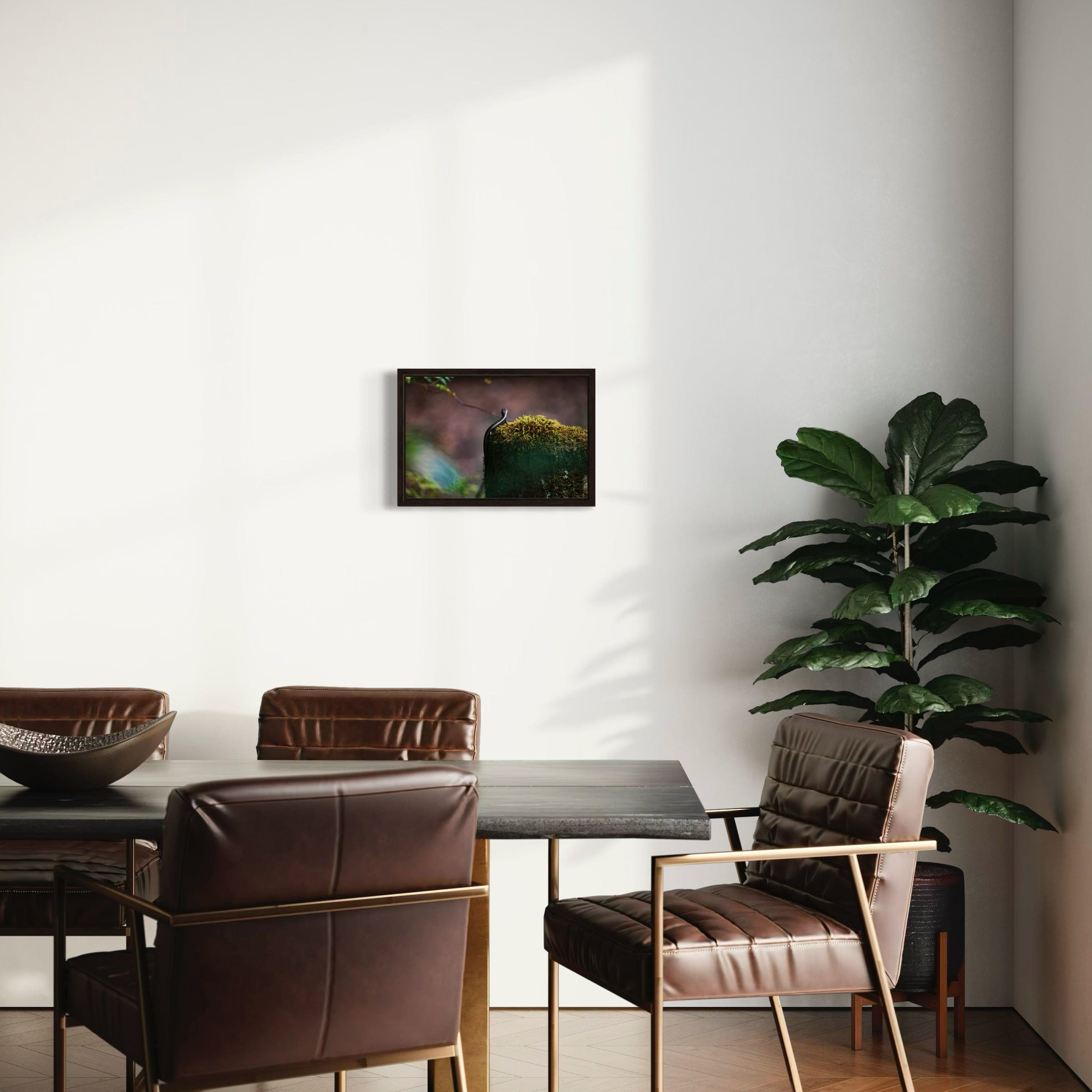 Sunbathing Skink - Canvas