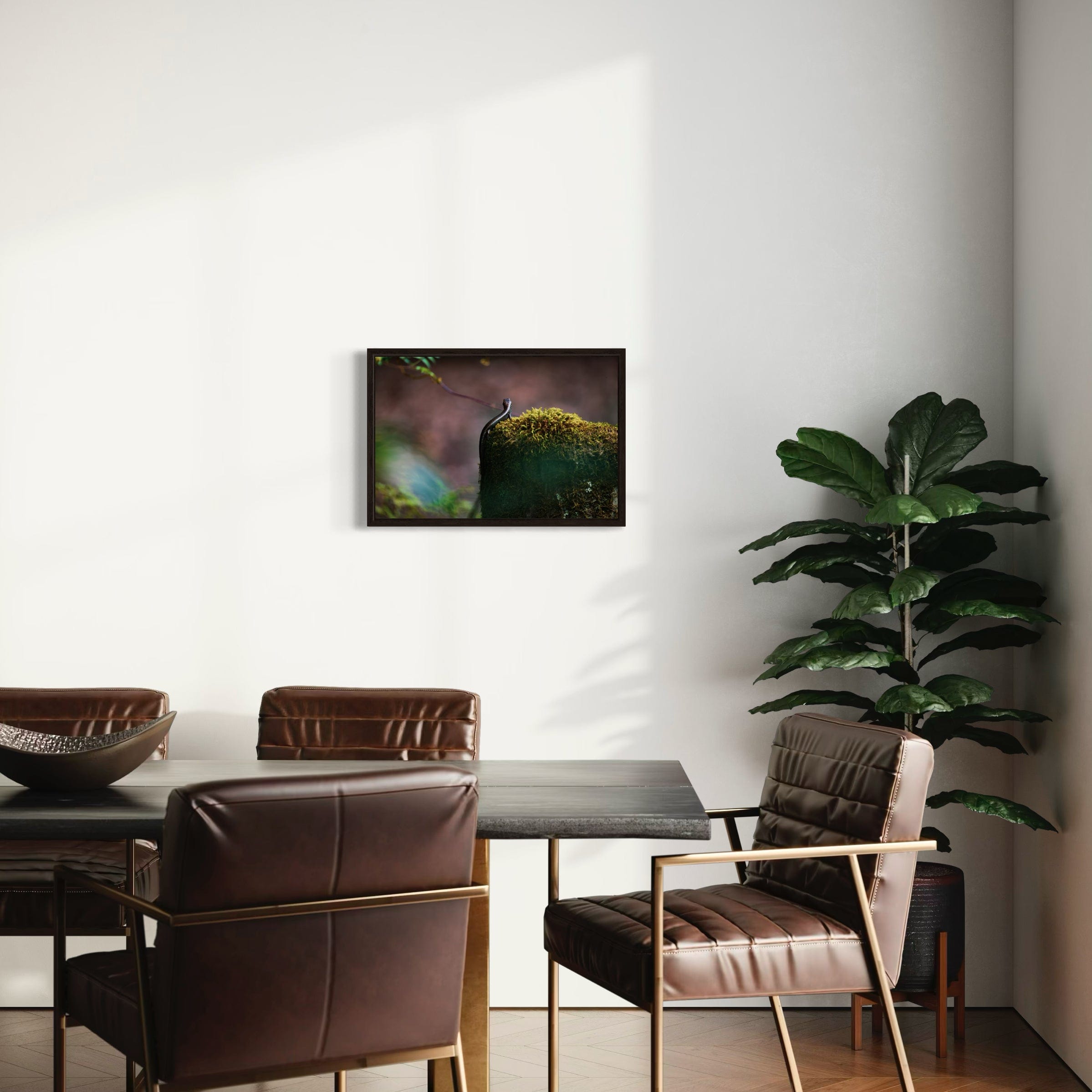 Sunbathing Skink - Canvas