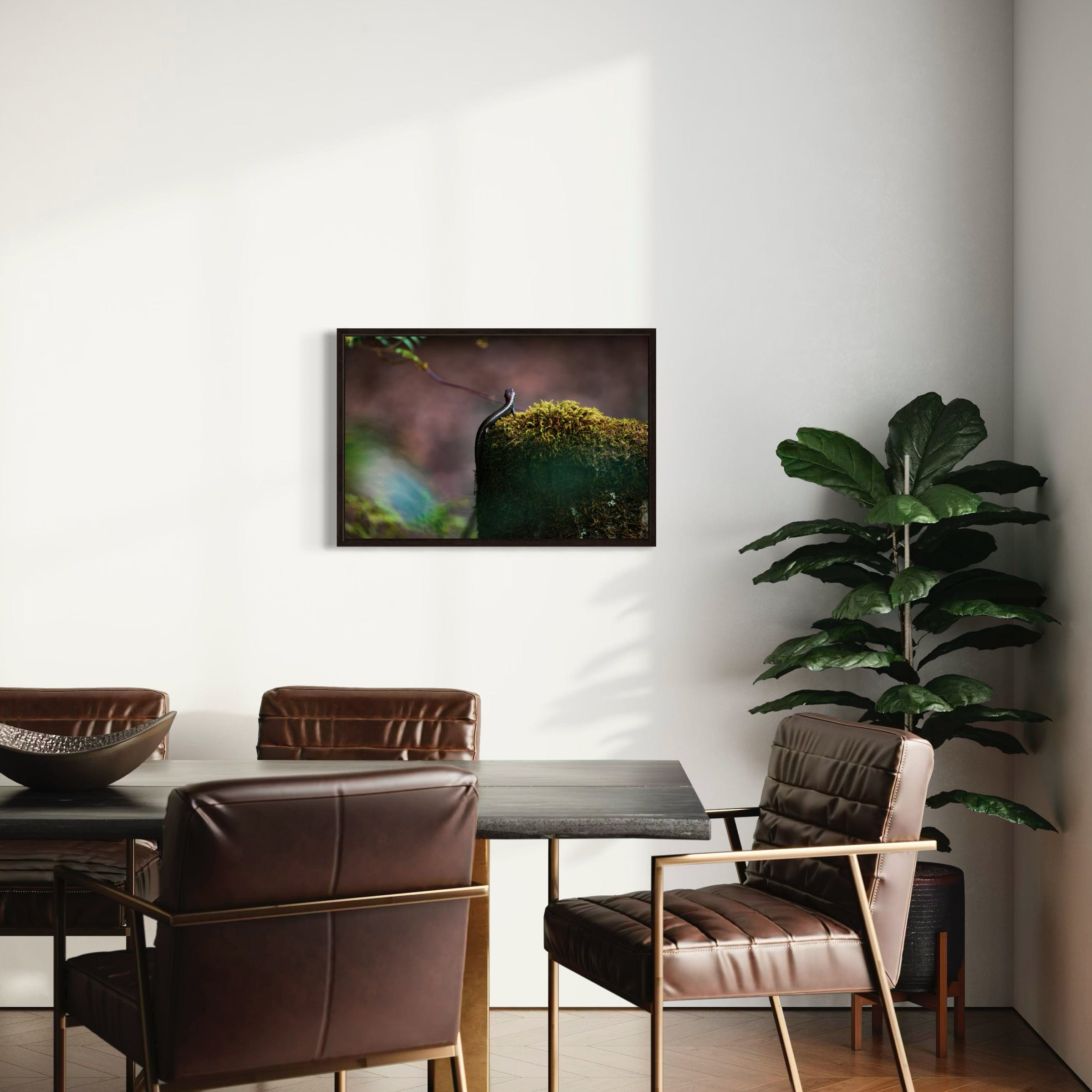 Sunbathing Skink - Canvas