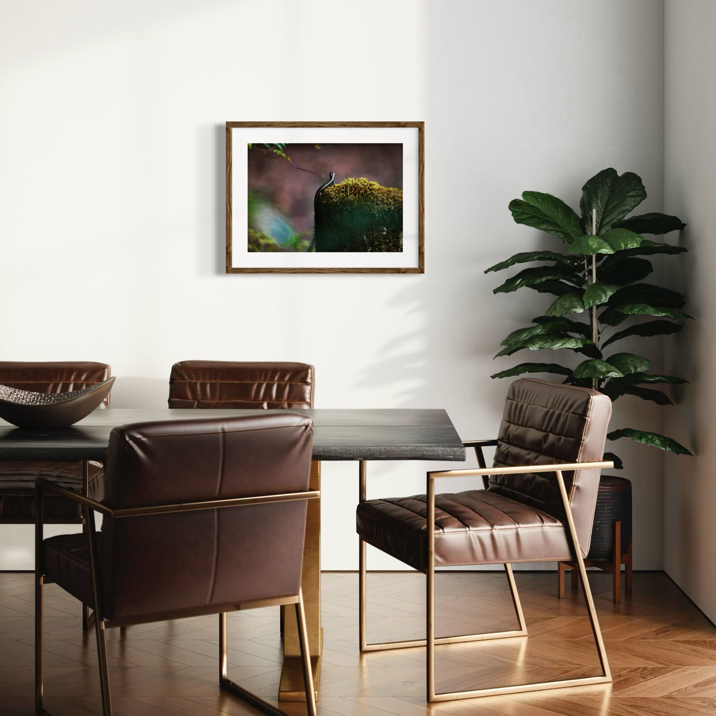 Sunbathing Skink - Mounted