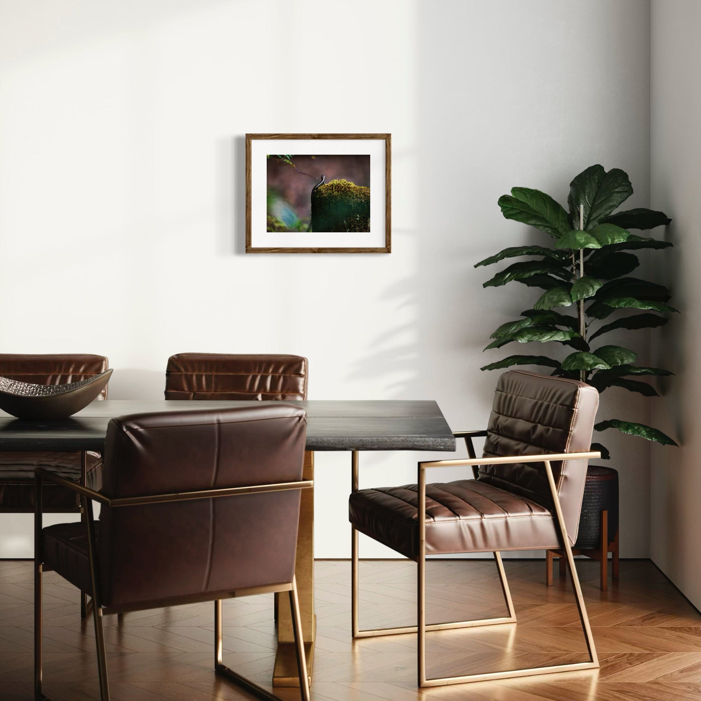 Sunbathing Skink - Mounted