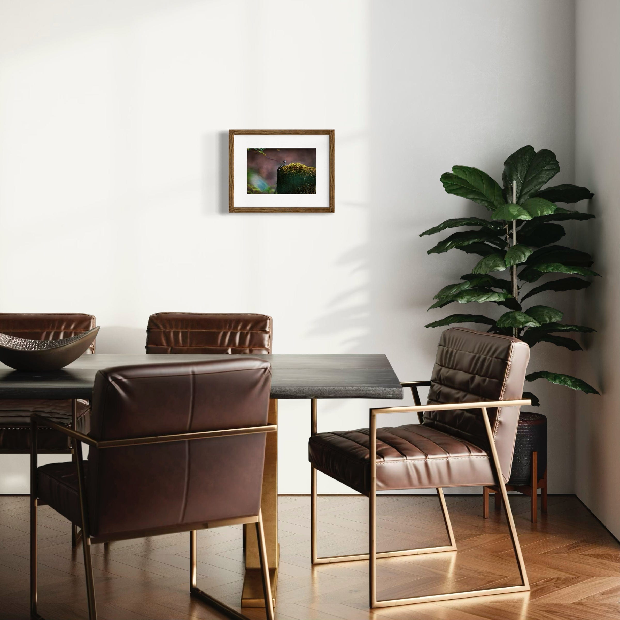 Sunbathing Skink - Mounted