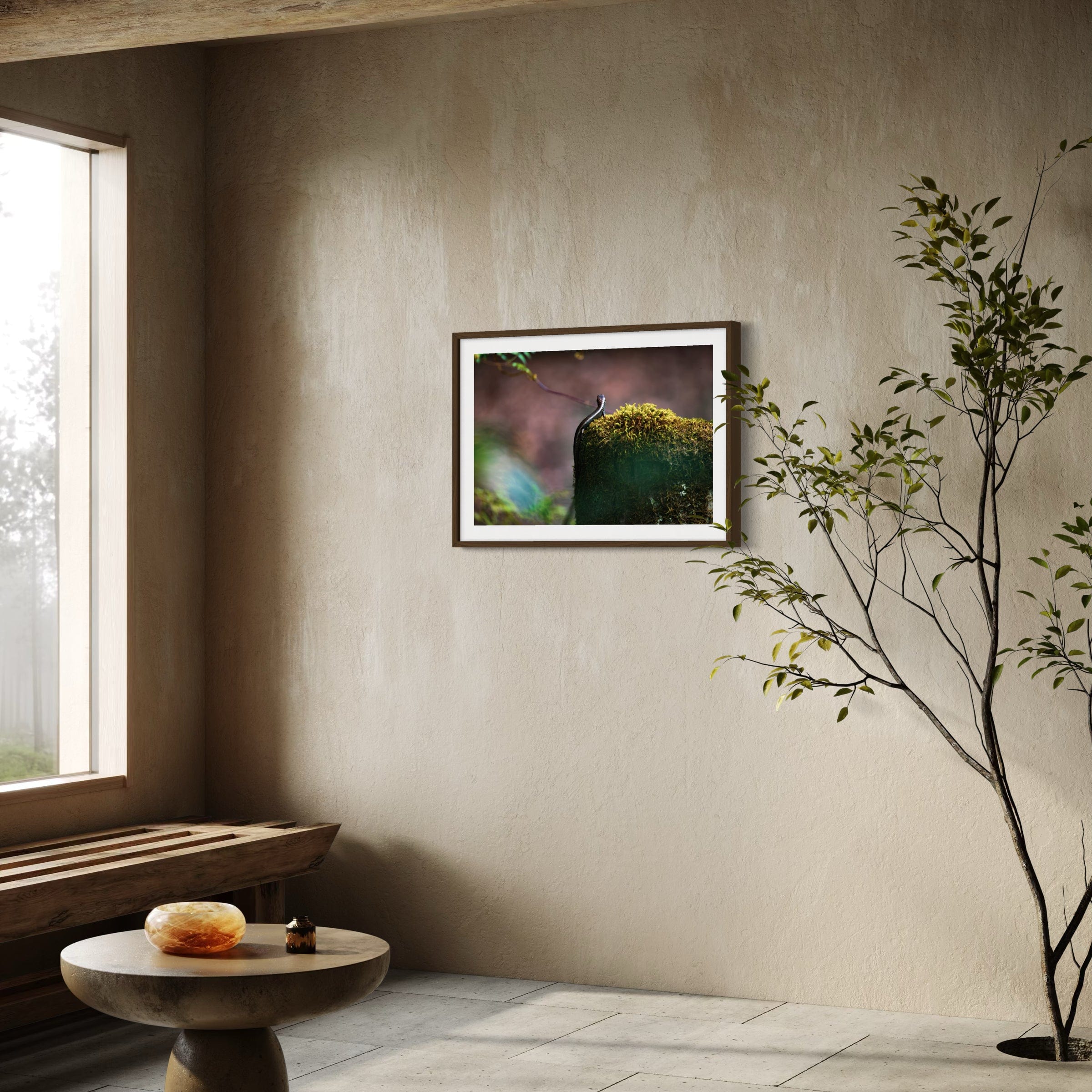 Sunbathing Skink - Print