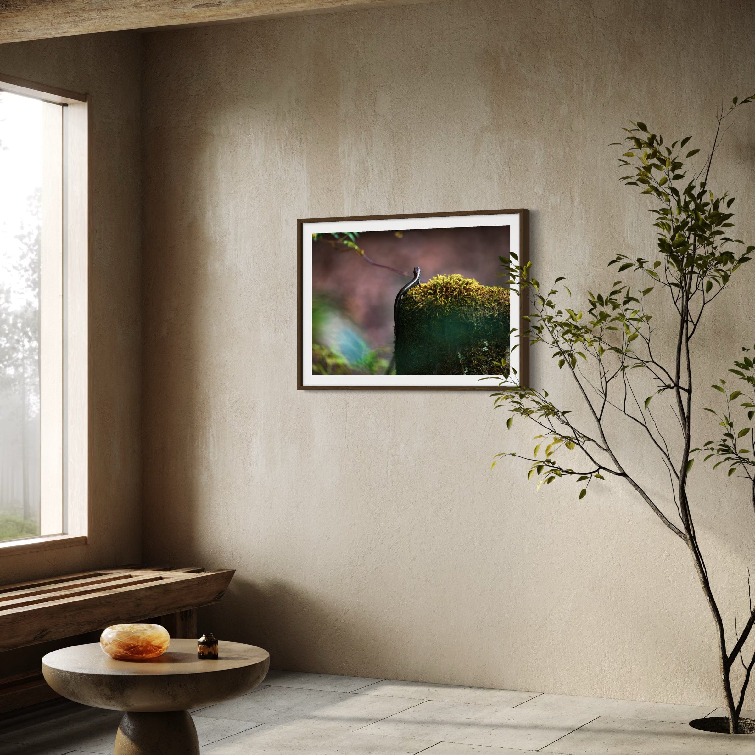 Sunbathing Skink - Print