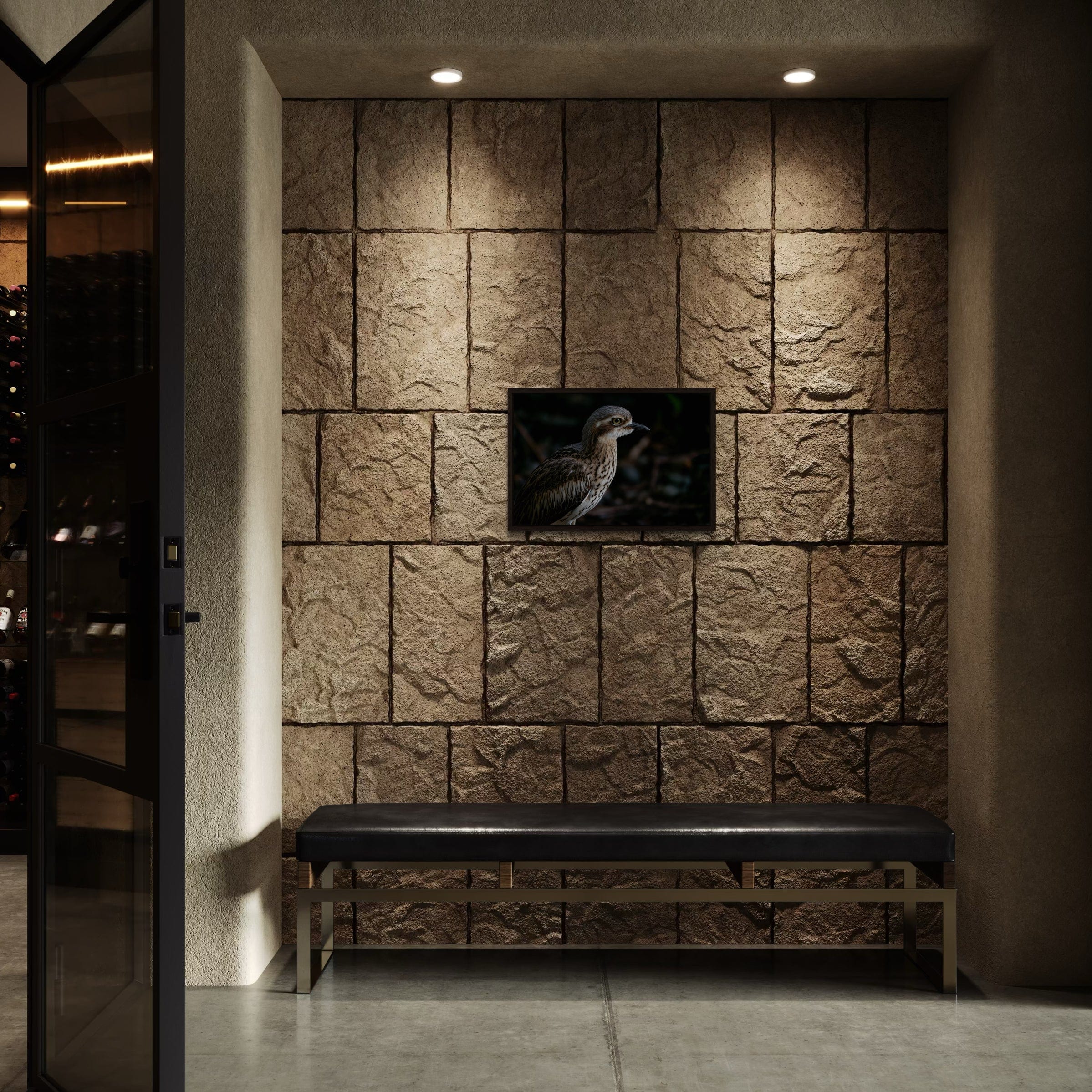 Bush Stone Curlew - Canvas