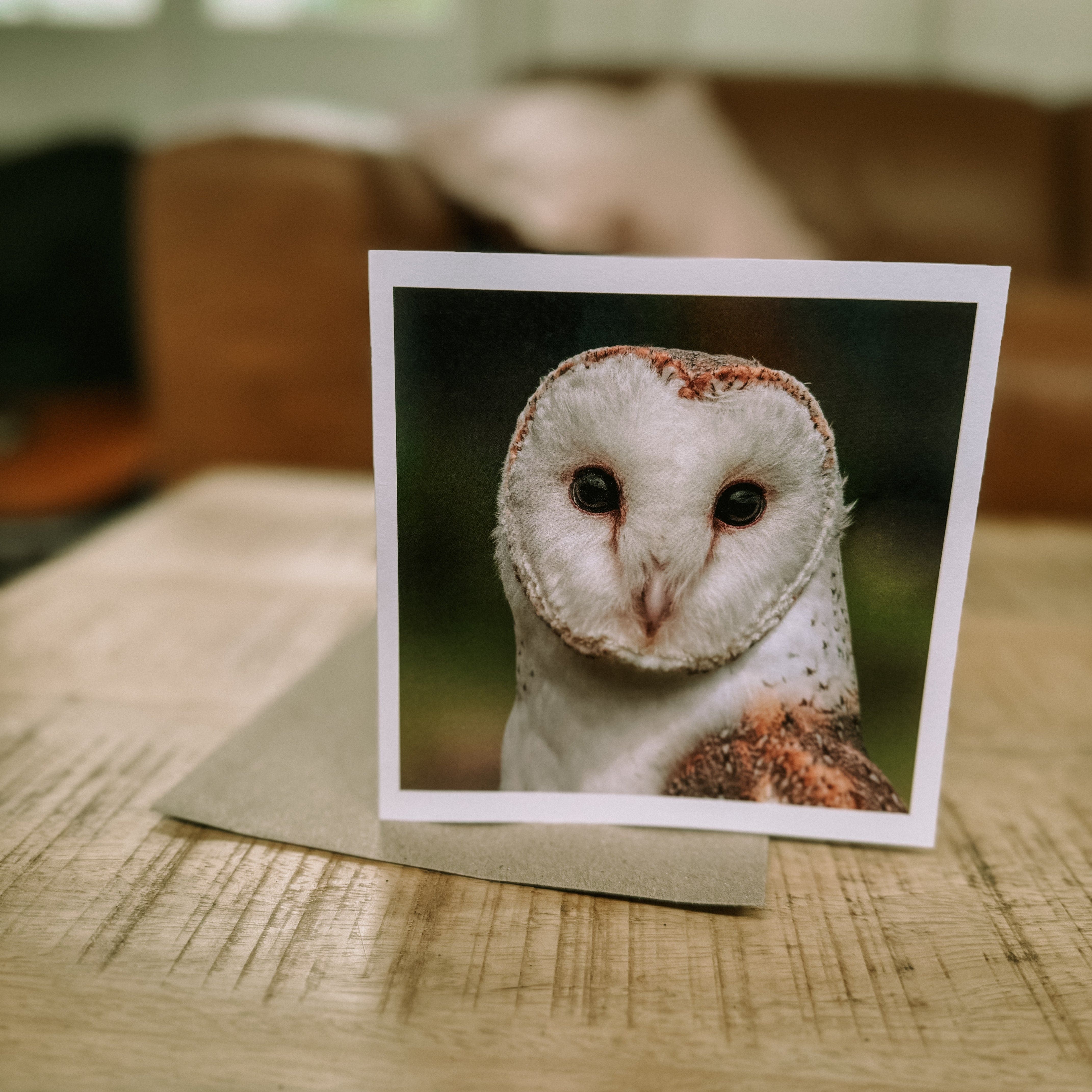 Greeting Cards